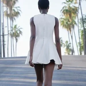 Zara | Dresses | Zara Nwt Skater Mini Dress Zw Collection
